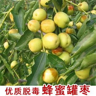 刑事物语5:片山刑警在山城