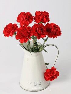 [Sf Cold Chain] A-Grade Red Carnation Hongfu Flowers for the 38Th Teacher’S Day Special Flowers for Elders