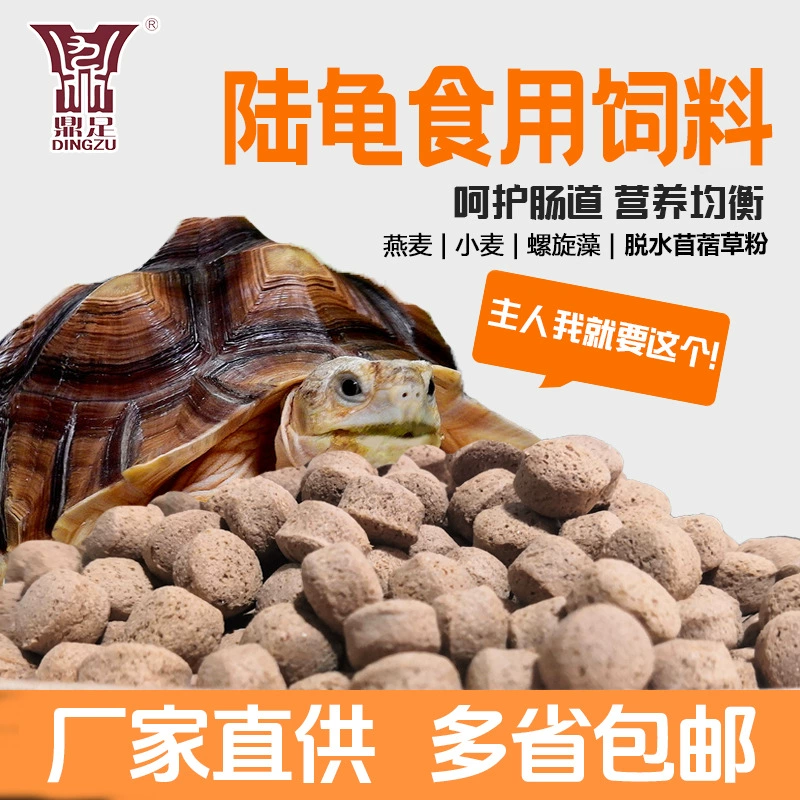 Корм для черепах, лесной, пустынный, для сухих почв, черепаха с леопардовым принтом Sulcata, черепаха с красными ногами, спирулина, корм для черепах.