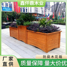 �Ĵ�����ľ���仨�軨���L���ηNֲ�������̨��،�ľ���仨��