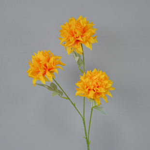 3�^ˮ�����֦���滨���͈@ˇ���^�������ͻ�c�����̈��Շ�����