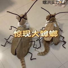 純情ゴキブリホット猫ペットゴキブリスーツ猫ストライプ服ネット有名人かわいいペットバージョン