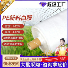 大棚塑料膜透明加厚农用薄膜蔬菜薄膜PE塑料布保温塑料白色大棚膜