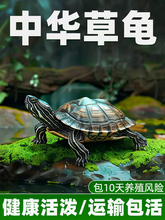 ���A�������wС���������^�p���������B�ͻ��L�������������