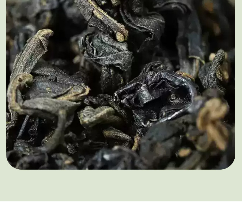 Cyclocarya Paliurus Leaf Tea Qing Qian Liu Loose Herbal Tea 50g Bag in use