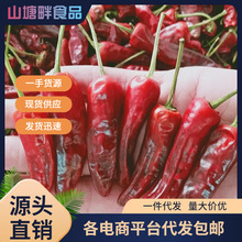 正宗福建辣椒王干辣椒卤鸭货用福建辣椒王香辣型辣椒面粉小米辣段