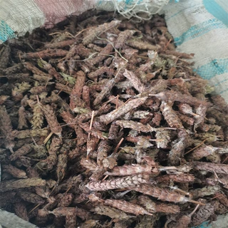 供应  夏枯球 夏枯草1000克  批发零售  品种齐全   批发零售