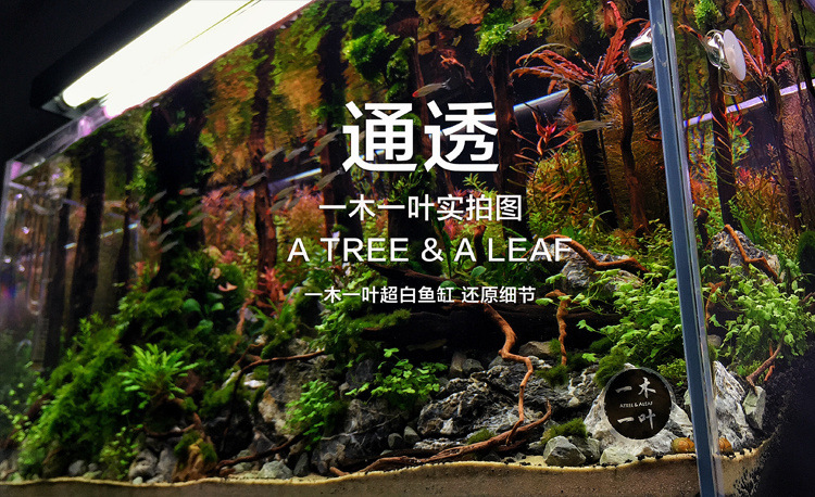 371558d4-682d-46bc-be7b-5603ff2e6406.jpe