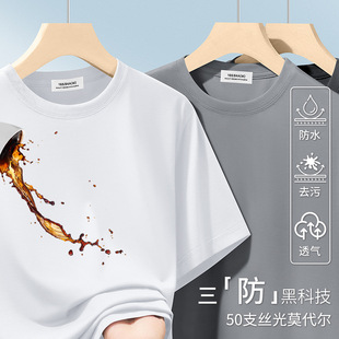 50֧�����Ƽ�����T���з�ˮ���۸߶�Ī�����A�I���а�ɫ����T���l