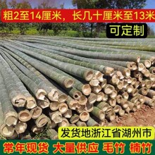 厂家供应大楠竹 毛竹菜架竹竿子搭架农用竹杆种菜用园粗干竹子