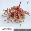 16-fork silk screen eucalyptus 7-branch eucalyptus engineering flower arrangement decorative silk flower home decoration money leaf