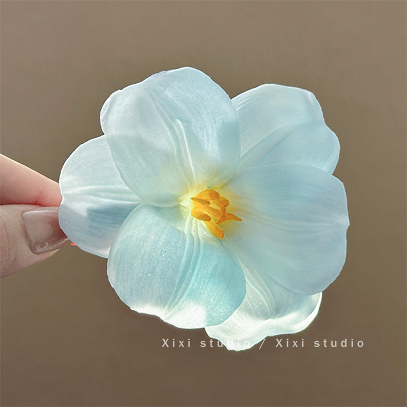 Caro con rosa roja clip de agarre para mujeres 2025 nuevo toque de cabeza de flores de super hadas explosión clip de tiburón