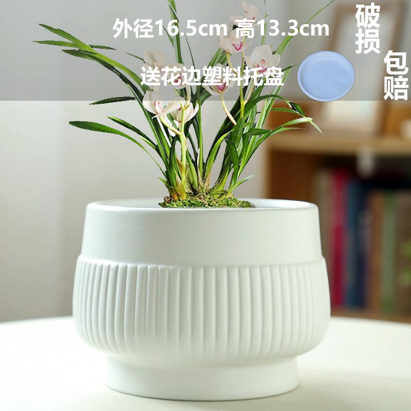 Large broken matte white (comes with tray)