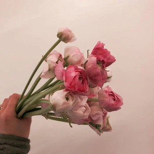 050303 �����¿���H�r�аٴ�ƴɫ���{��ħ�g�N����ɳ������Ь