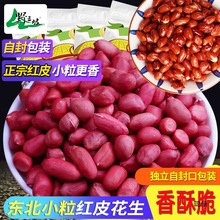 黑龙江的红衣花生仁生东北新货四粒带壳红皮红不生花生米新鲜500g