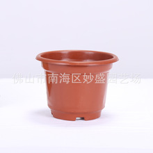 �@�����Ի��طNֲ�������ϻ������l��Ӳ�|�A��AB��߅����@������