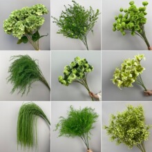 ��c��ˇ�Gֲ�Pβ�~���ȼ������X�ݲ��þGɫ�������ϻ�Y���߽���