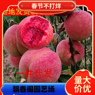 һ�����l�Ҙ����޽ӹ������Ե����ϱ����Nֲ����Y���ش������