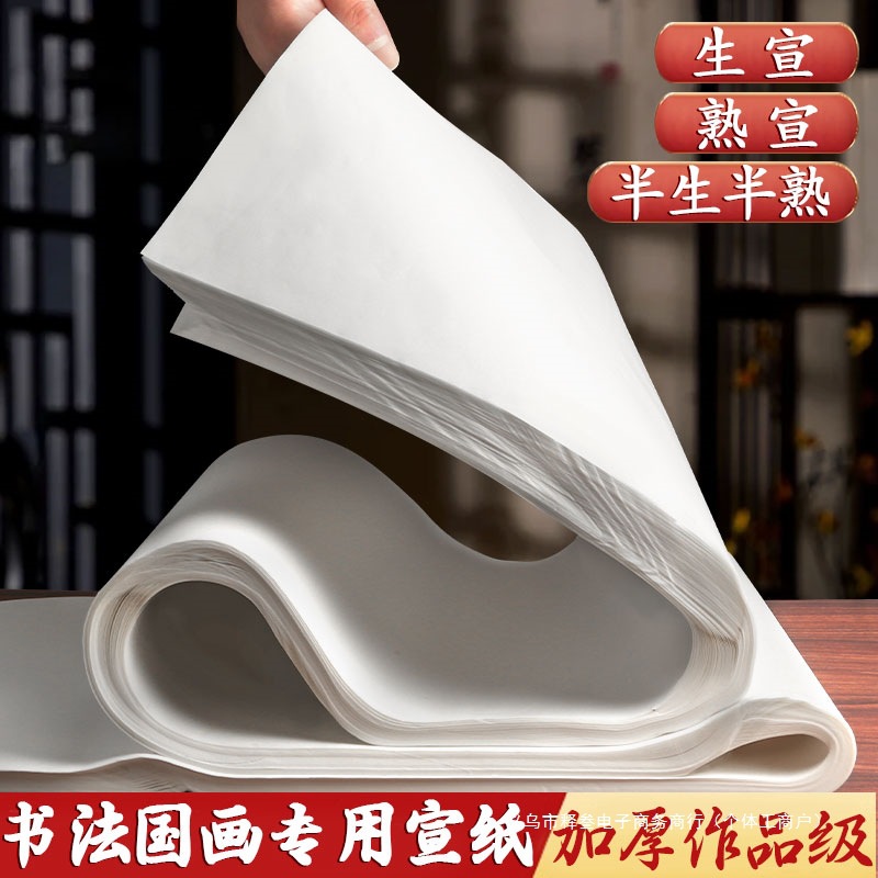 宣纸书法纸半生半熟生宣熟宣国画纸四尺整张对开三开半开4尺六三