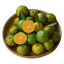 �V���������������rˮ�������������]�a��ֱ�l�����һ�����l