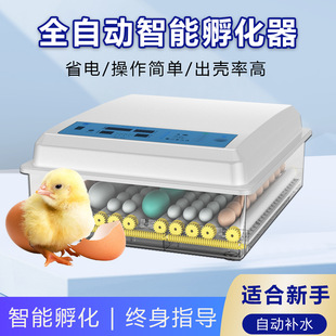 ���Q���S�������ܼ������Ԅӷ����� �u�����������Z���g��ɽ�u��