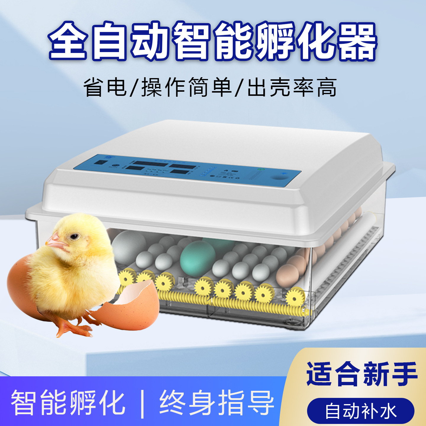外贸工厂定制智能家用型自动孵化器 鸡蛋孵化器鸭鹅鸽鹌鹑山鸡孵