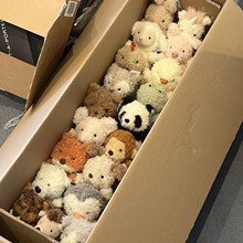 Ӣ��Little��ëС���﹫��С�i��żë�q��߃�ͯ8��ץ�C ���޻�c