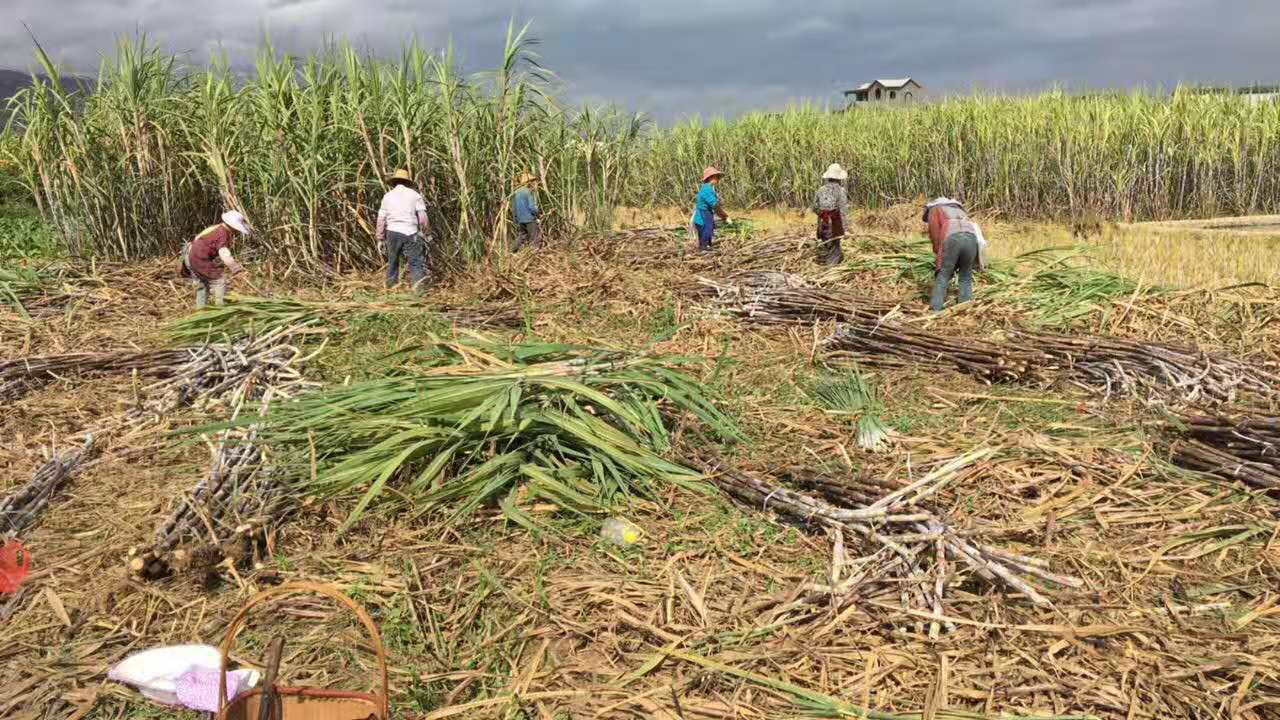 微信图片_20210416145910