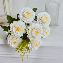 滨ܽõٻСõƵbܽػzӰ߻l