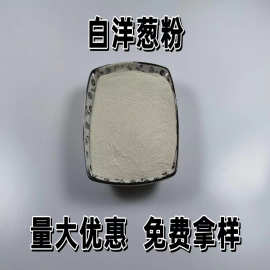 白洋葱粉脱水白洋葱调味品调味料白洋葱粉辅料烧烤调味品可批发