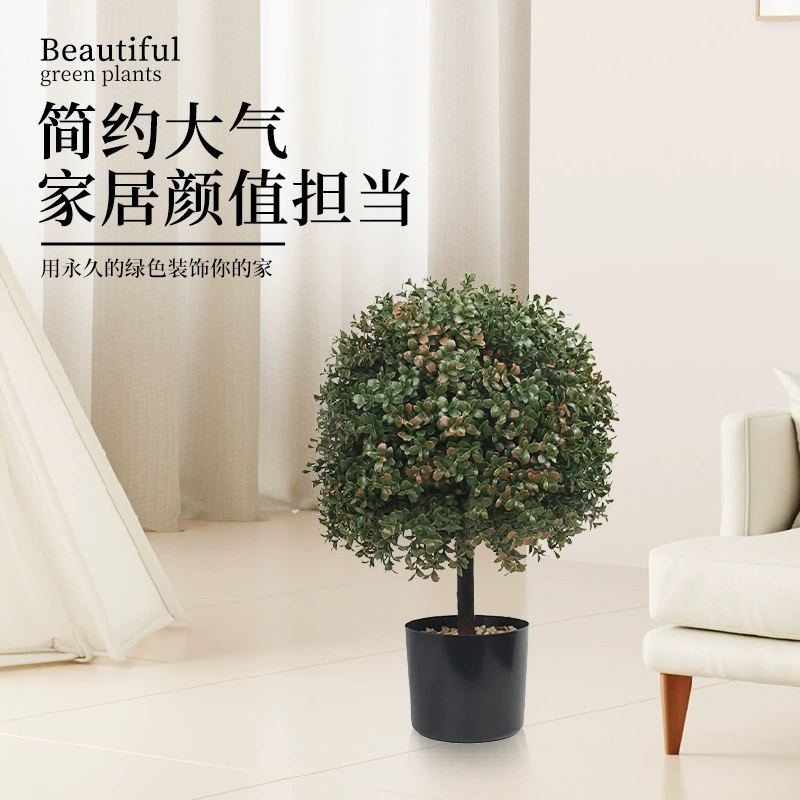 Amazon Simulation Green Plant Basin Plant Planted Olive Tree Bonsai Bonsai Interior and Outside Porch Courtyard Ido Popular Wood Wholesale
