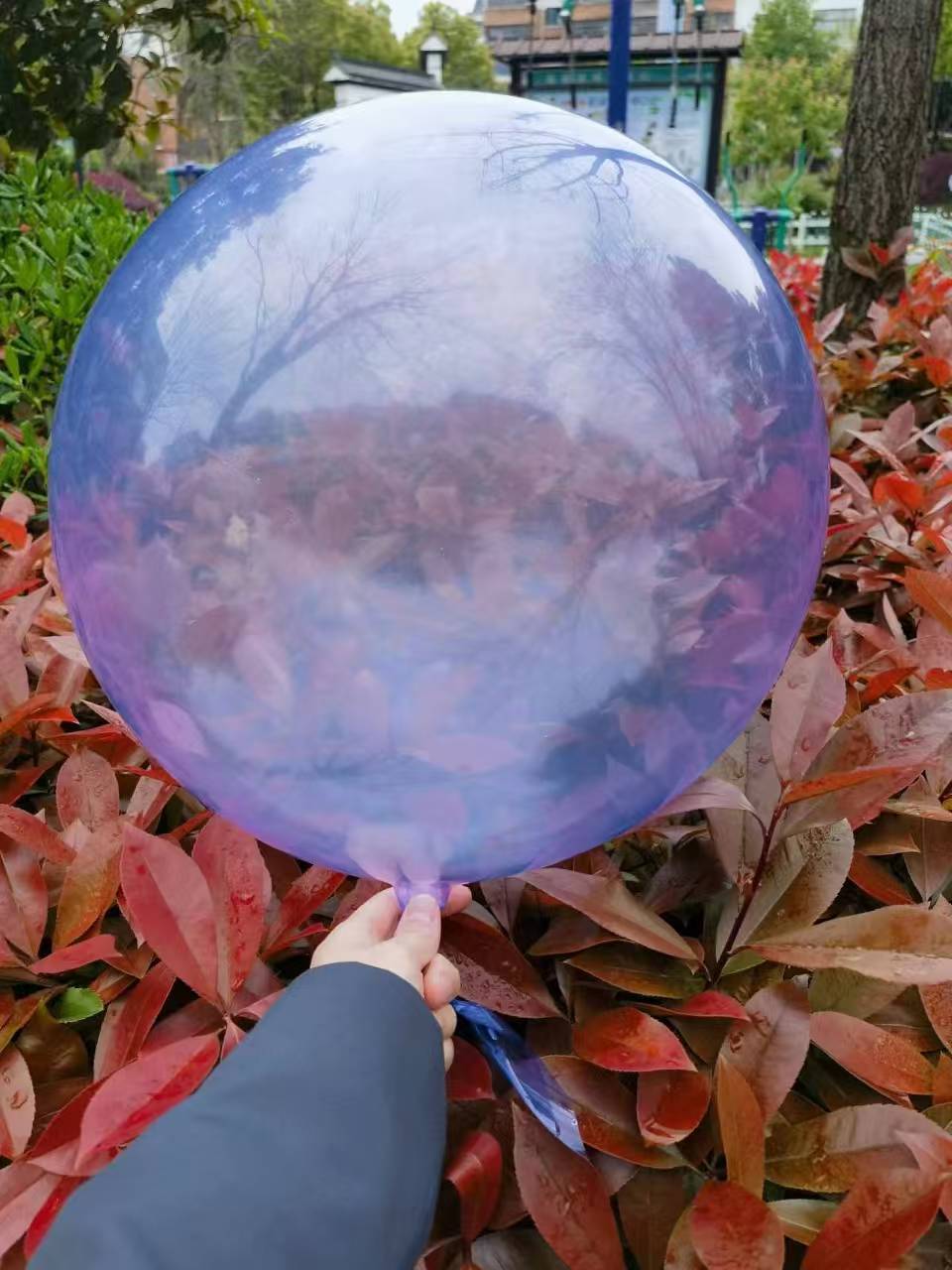 微信图片_20250428095447