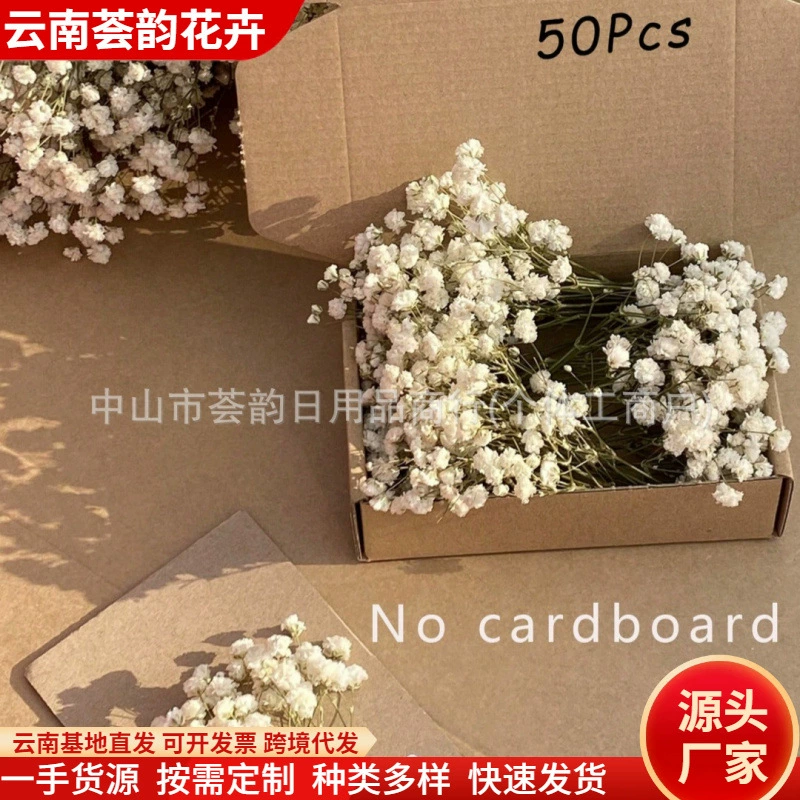 Винтажные сухоцветы: короткоплодные натуральные растения для фоторамок, DIY-композиций, рукоделия, гортензии, листья в европейском стиле