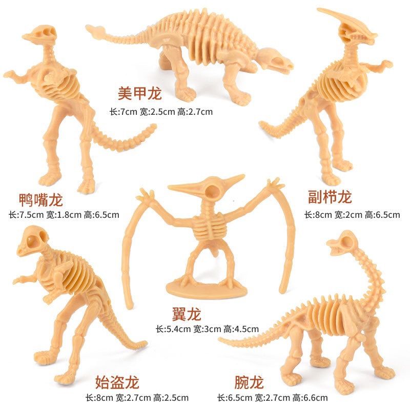 B 공룡 스켈레톤 6 (단일 가격)