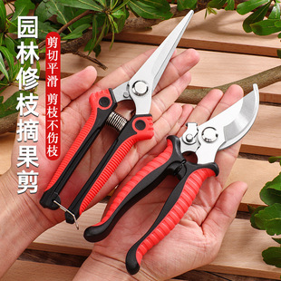 ����@ˇ������֦�޼���֦�������Բ廨ժ����ˮ�����^���P����l