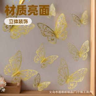 ���yɫ�U�����w����3d���N ���栝���b��� �����|�����Ҳ���