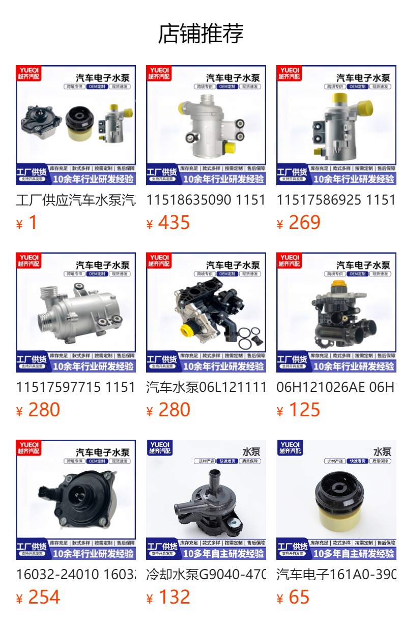 11517632426 11537549476 Automotive Electronic Water Pump Suitable for Bmw N43 N46 N54 N55