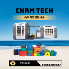 PP PE ۱ϩKO ٺϹKCе K򷀶CNRM