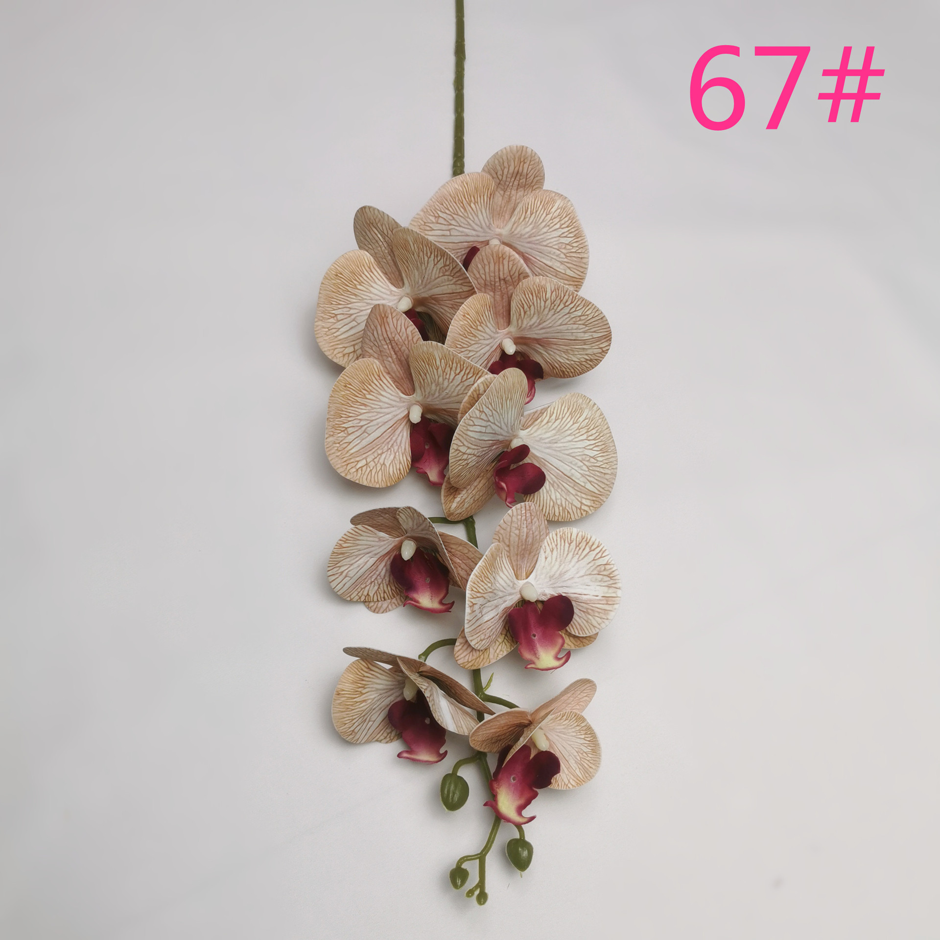 IMG_20220607_182414_副本