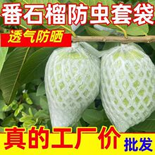 番石榴防虫网防虫专用套袋芭乐泡沫网套一体胶袋网袋水果保护批发