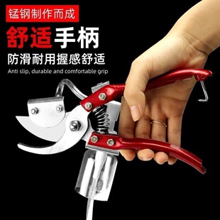 �½�����������֦���ԄӇ����rș�����i䓻�ˇ��֦���JȔ��