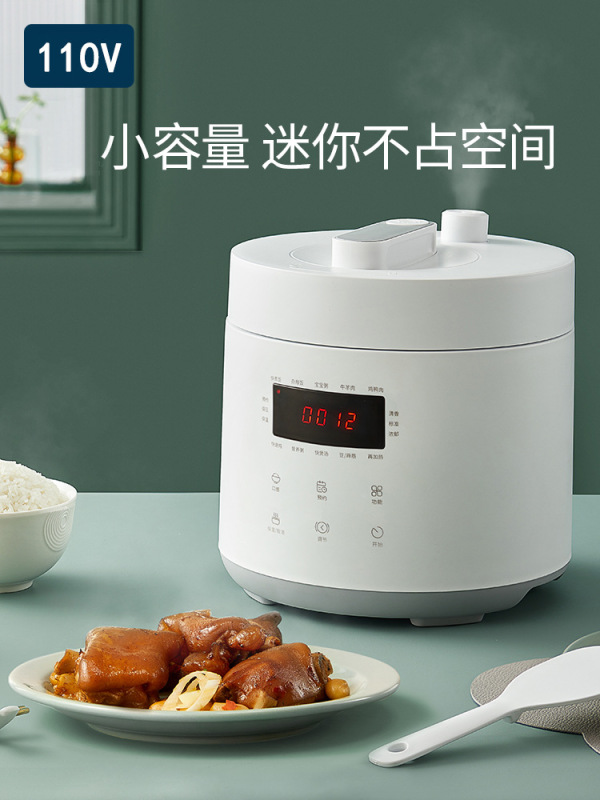 110vボルトスマート2cm炊飯器小型家電予約輸出日本ミニ炊飯器台湾カナダアメリカ|undefined