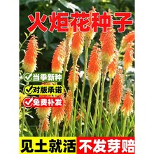 ��滨�N�Ѽt������ɏ�N�Ӷ������޸������̨ͥԺ���@�����ͺ�