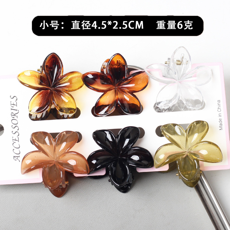新商品のかわいい六点セットの卵の花の夏のリゾート風はビーチの海辺のカードの後頭部を挟みます。|undefined