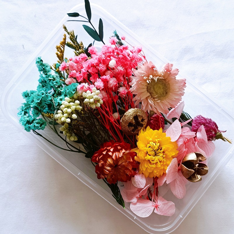 Festival bricolaje hecho a mano material de flor eterna planta flor seca florero flotante aromaterapia flor seca abanico de material paquete al por mayor