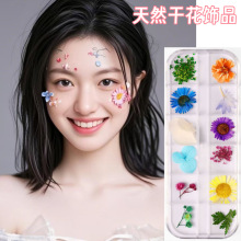 新款日系指甲干花12色满天星太阳花天然花 小红书脸妆眼妆DIY材料