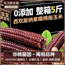 ���p��{Ĵָ�������r������Ŵ��ʳ�����Ŵ�����ك�������ʹ���