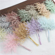 ����ֲ���ɫ���滨����С�Fڡ֦diy�^��֭h����ֹ������[��֦