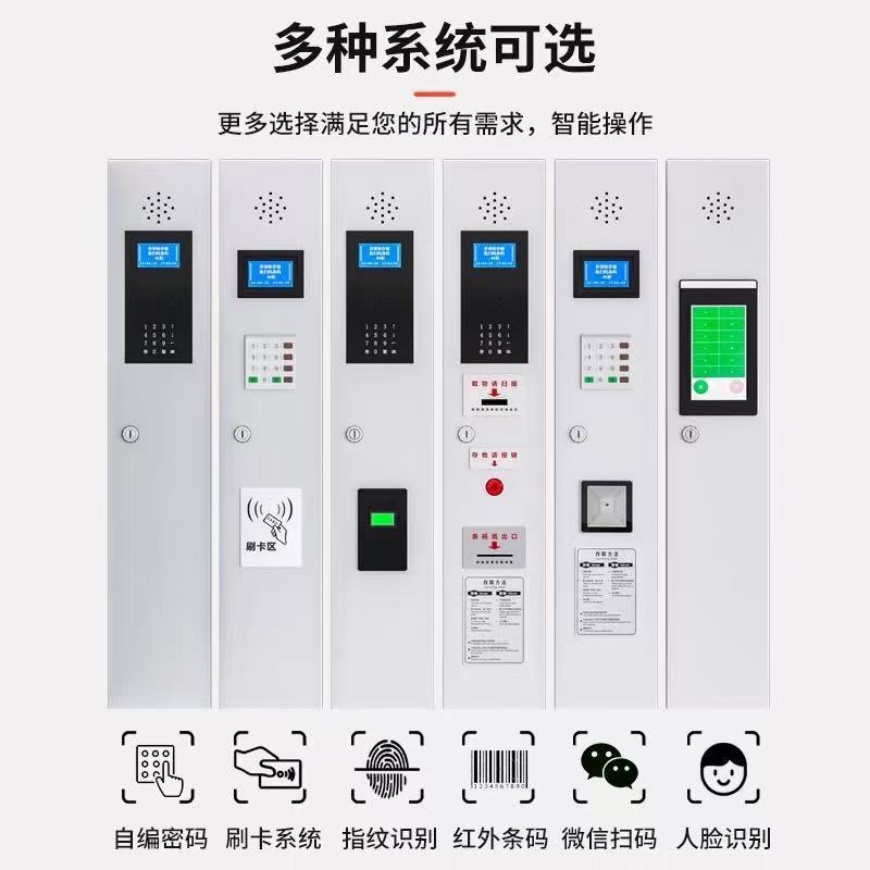 Electronic luggage lockers