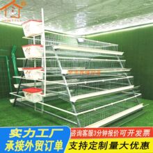 蛋鸡笼育雏笼层叠式蛋鸡笼鸡舍全自动养殖设备自动饮水清粪喂料机